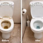 WhatsApp Image 2026-03-09 at 15.07.50